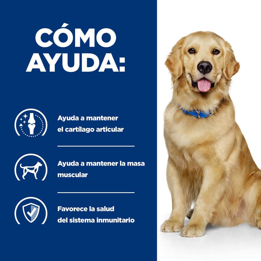 12 kg Hill's Prescription Diet Mobility Pollo pienso para perros, , large indicador imagen numero 5